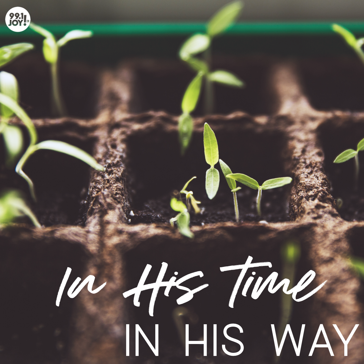 In His Time. In His Way. - JOY FM - JOY FM