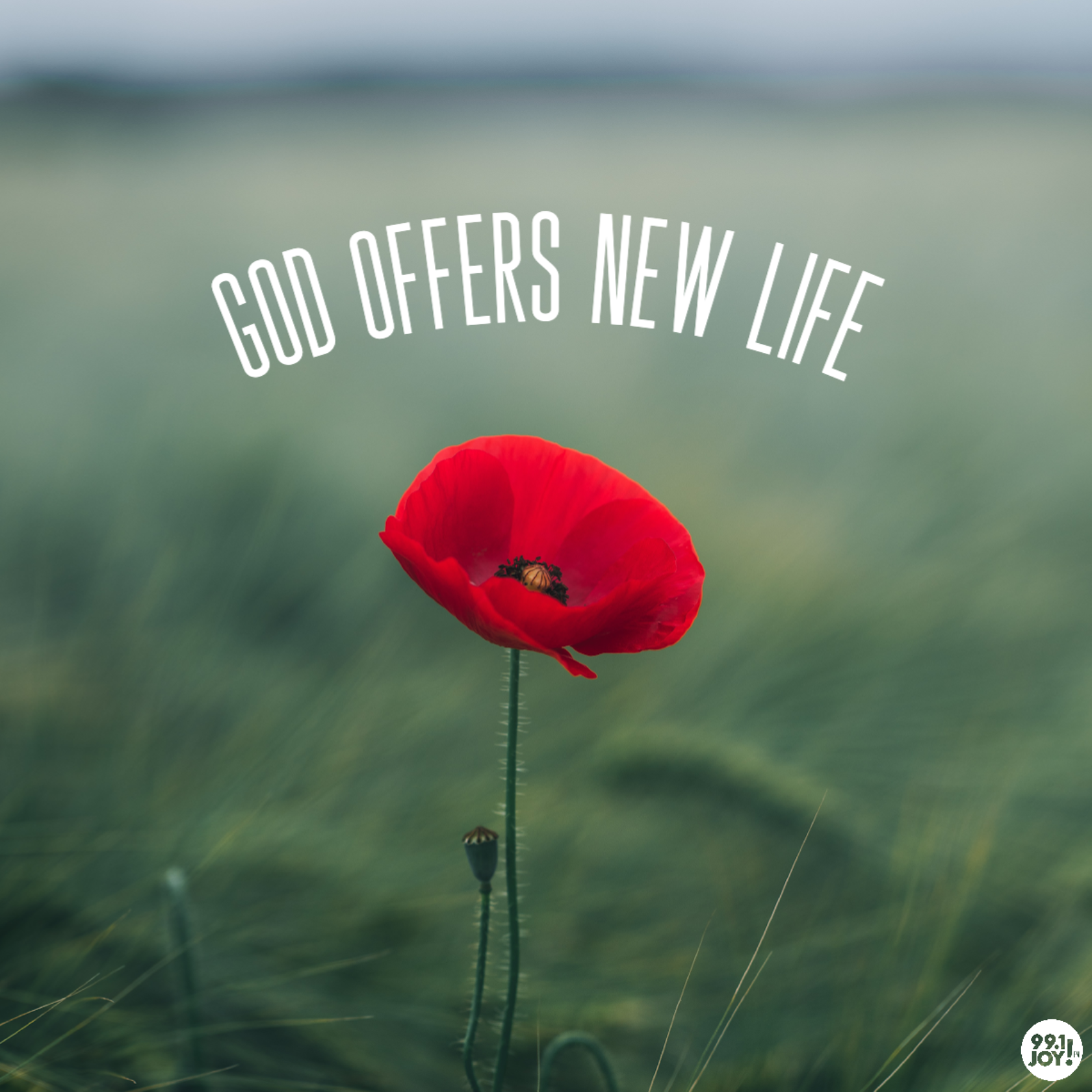 God Offers New Life