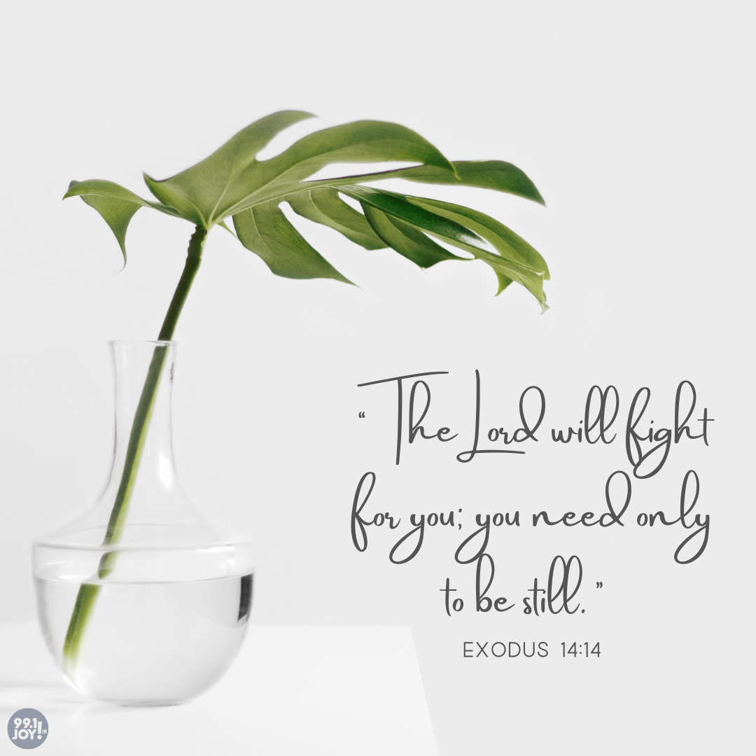 The Lord will fight for you; you need only to be still