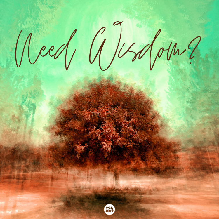 Need Wisdom? 
