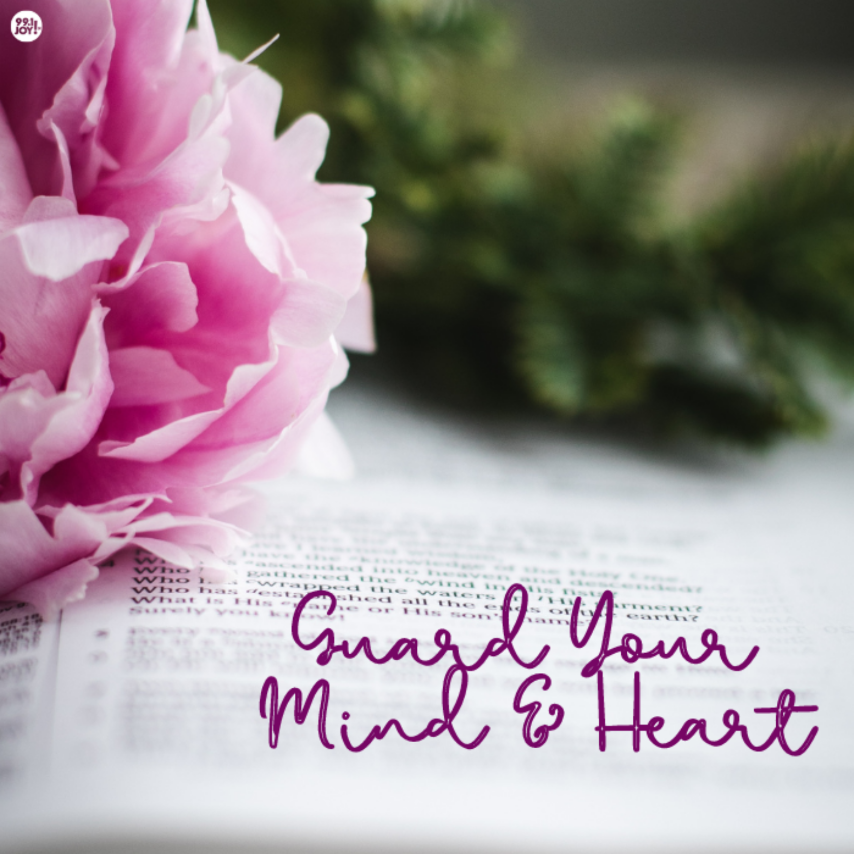 Guard Your Mind And Heart