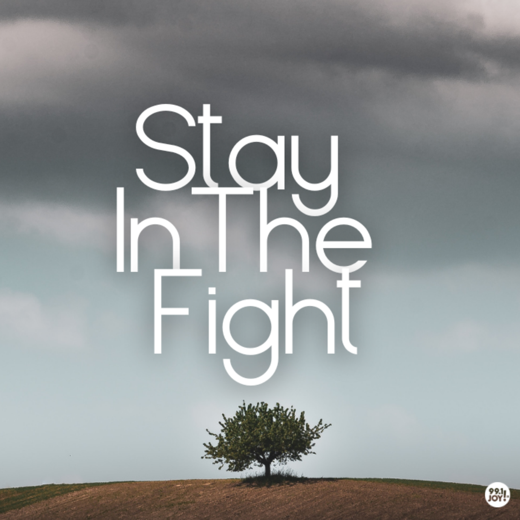 Stay In The Fight