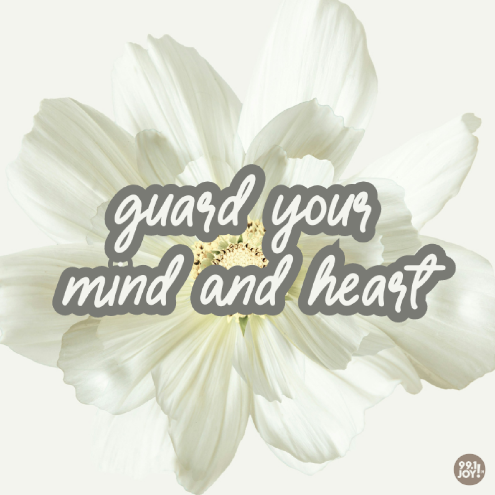 Guard Your Mind And Heart