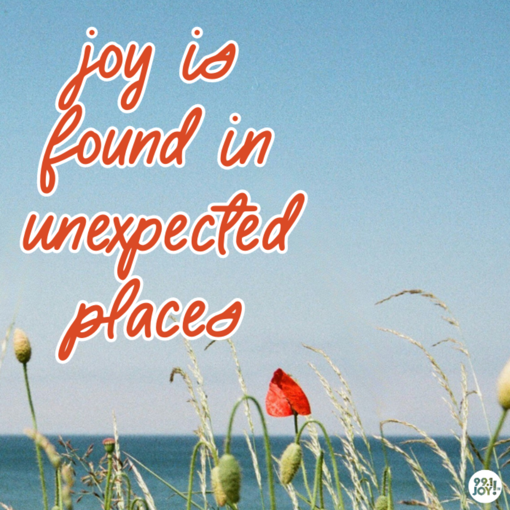 Joy Is Found In Unexpected Places