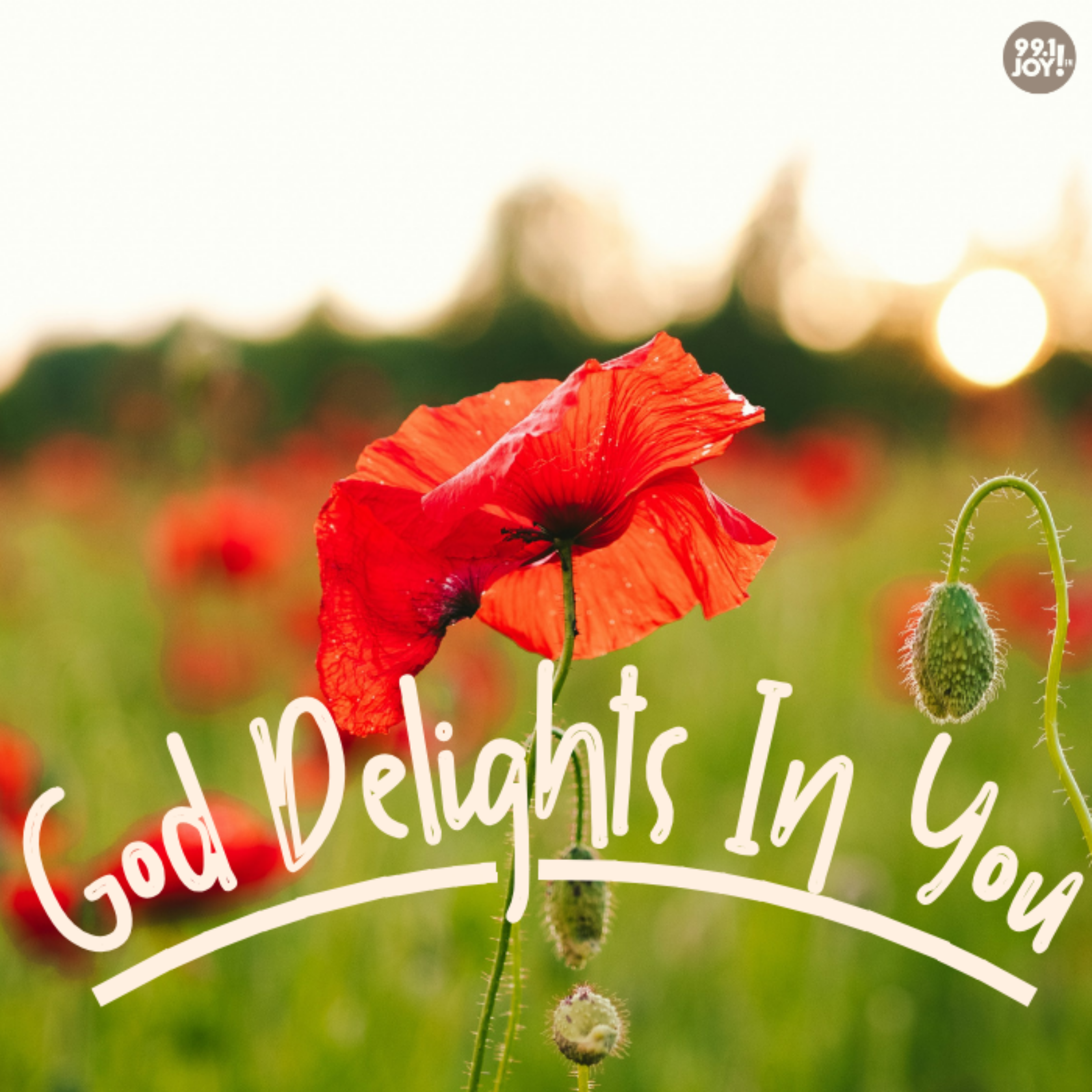 God Delights In You