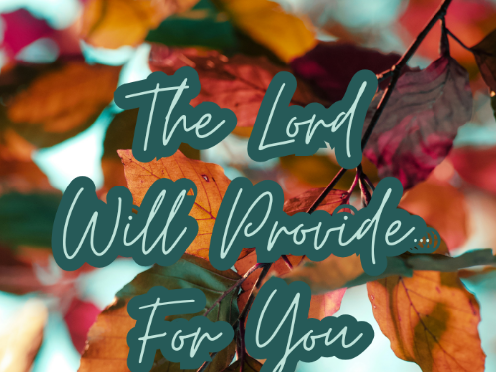 The Lord Will Provide…For You