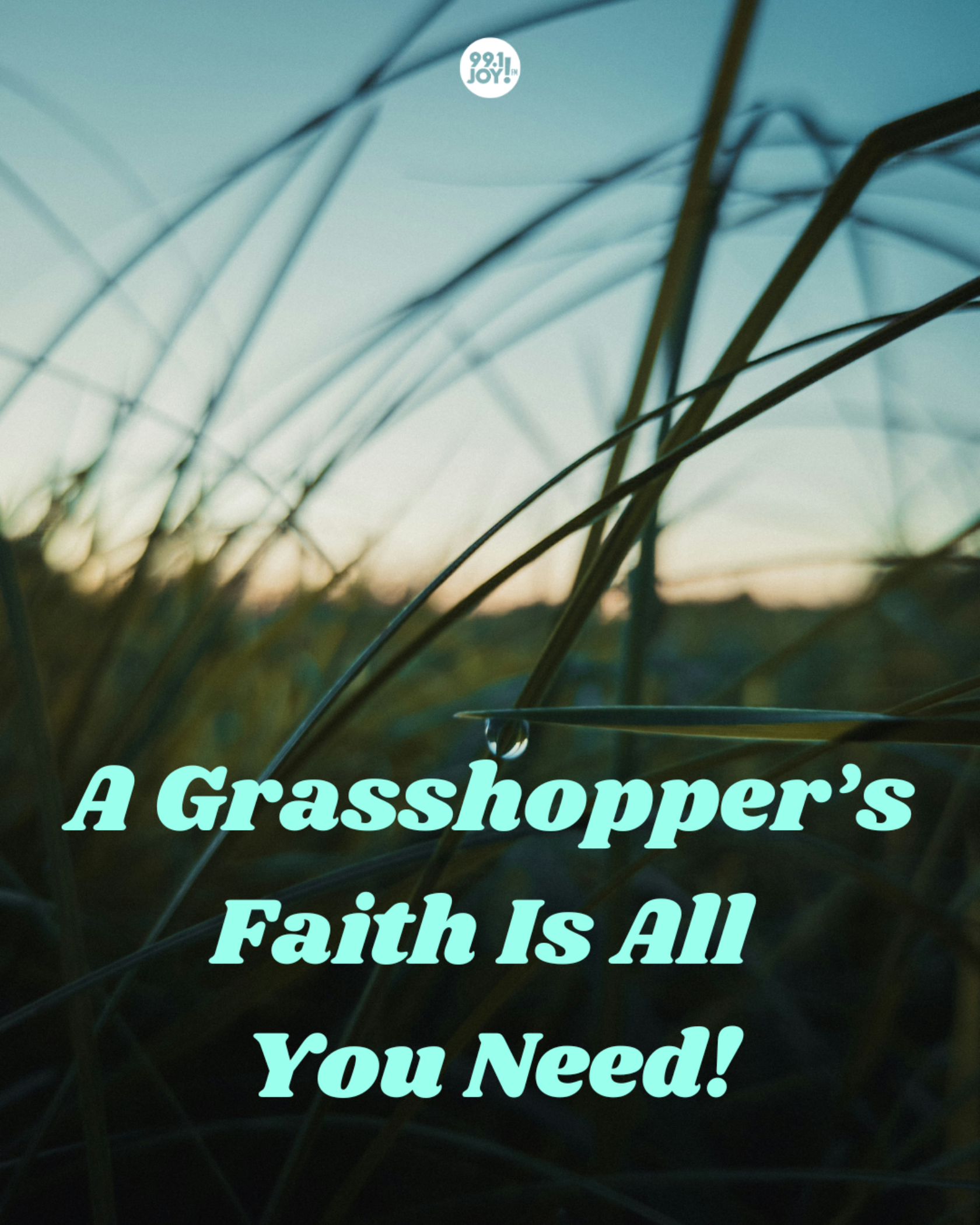 A Grasshopper’s Faith Is All You Need!