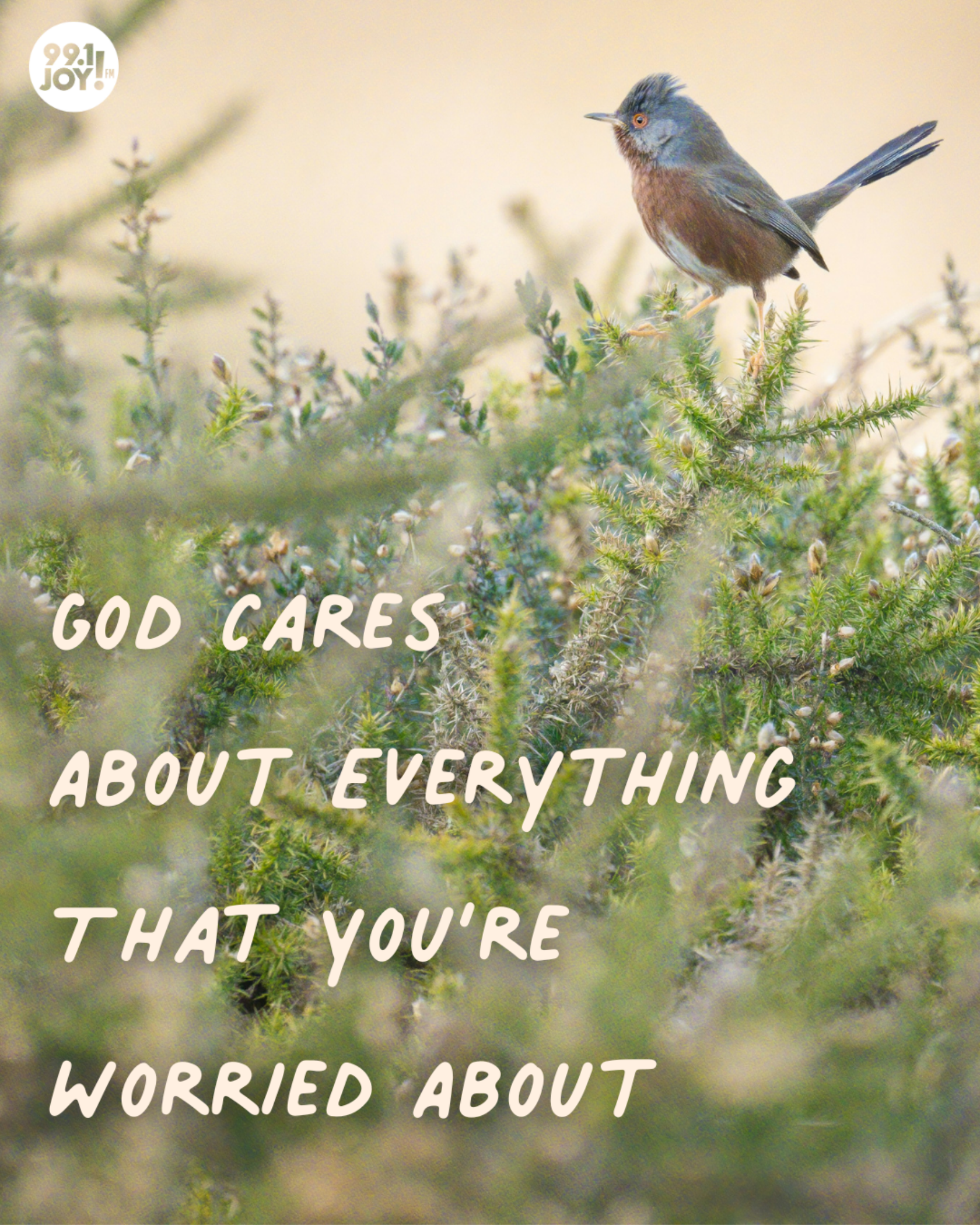 God Cares About Everything That You’re Worried About
