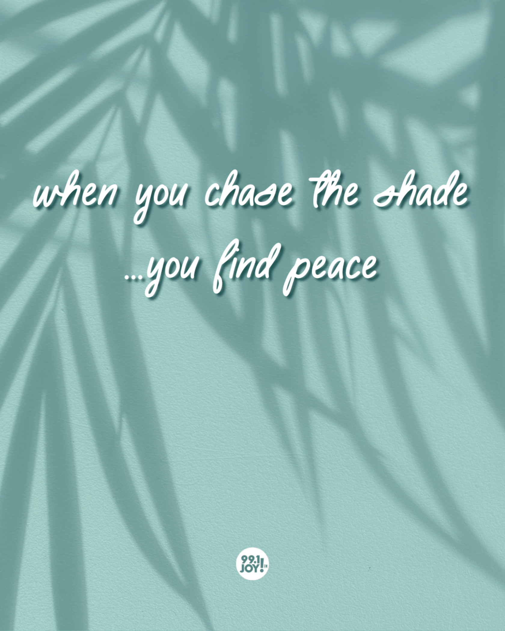 When You Chase The Shade …You Find Peace
