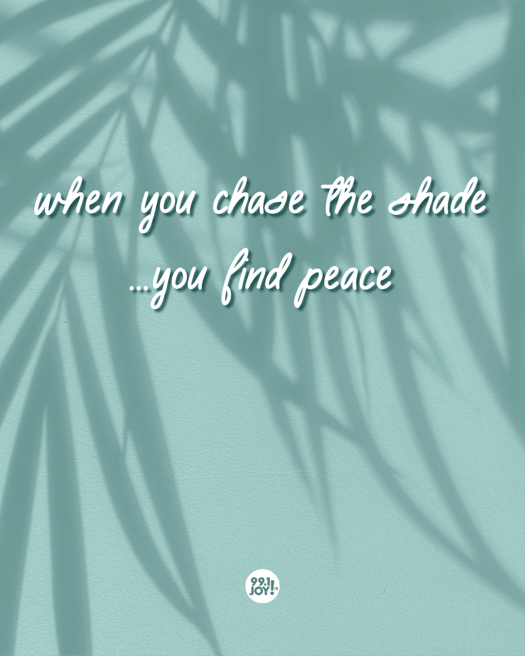When You Chase The Shade …You Find Peace