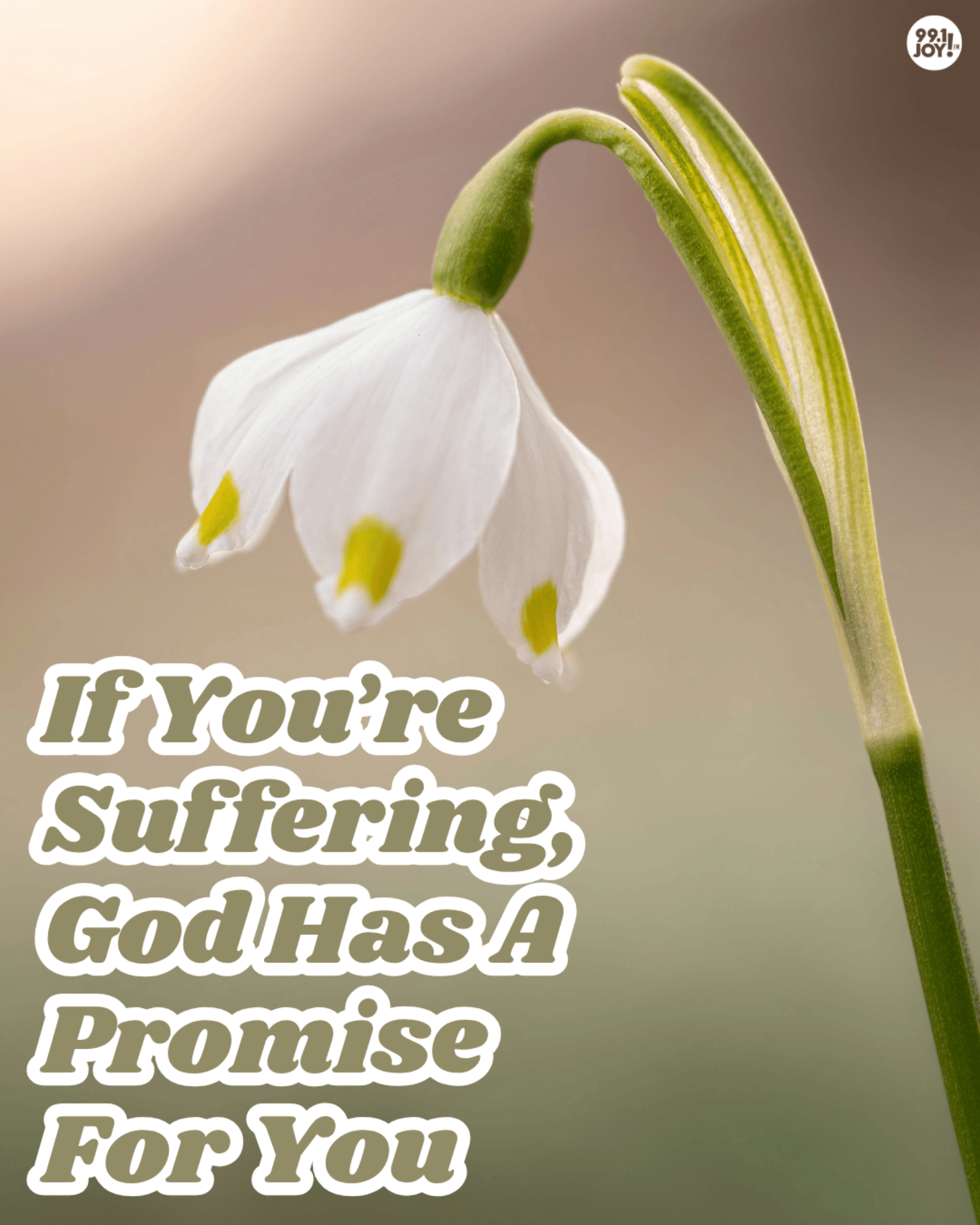 If You’re Suffering, God Has A Promise For You