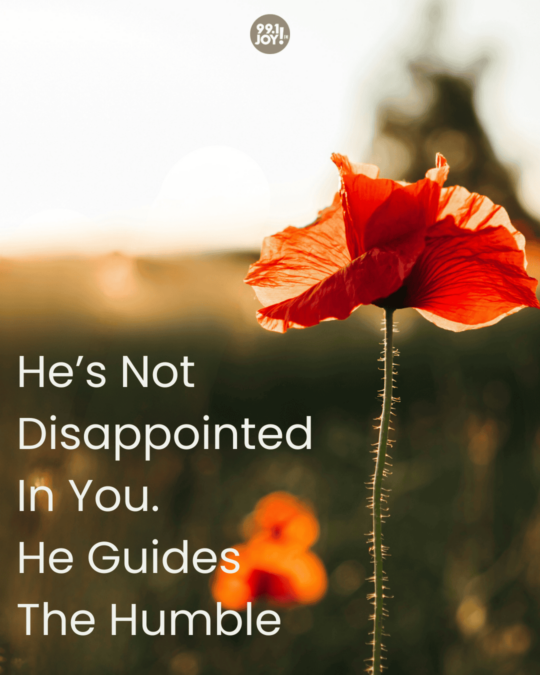 He’s Not Disappointed In You.  He Guides The Humble