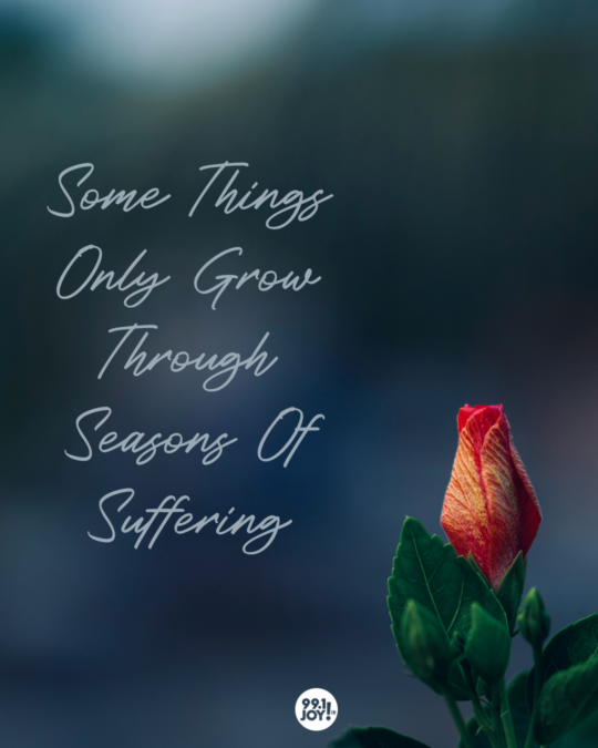 Some Things Only Grow Through Seasons Of Suffering