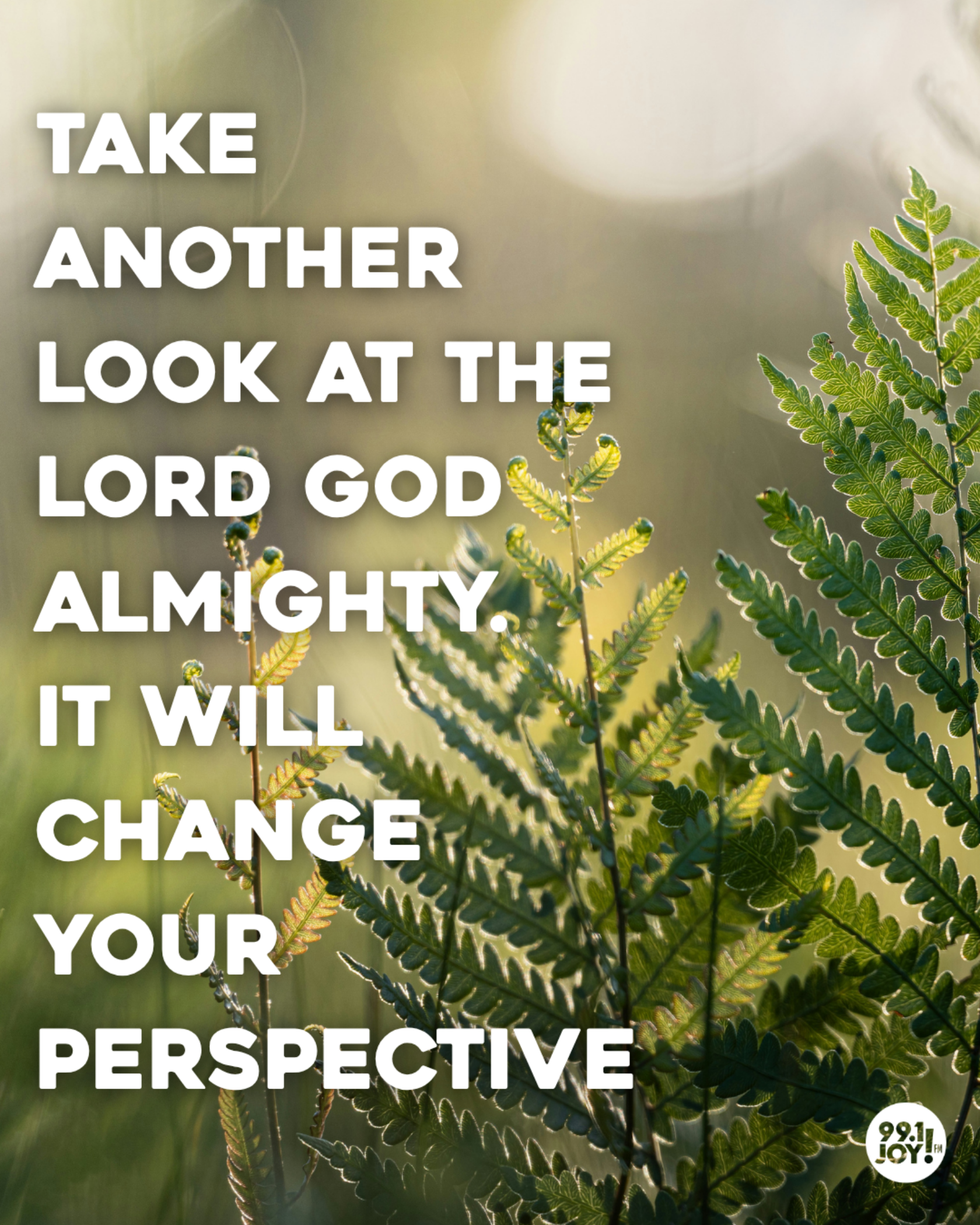 Take Another Look At The Lord God Almighty. It Will Change Your Perspective