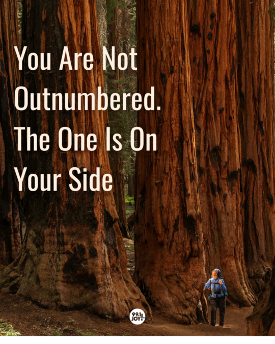 You Are Not Outnumbered. The One Is On Your Side