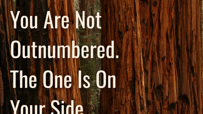 You Are Not Outnumbered. The One Is On Your Side