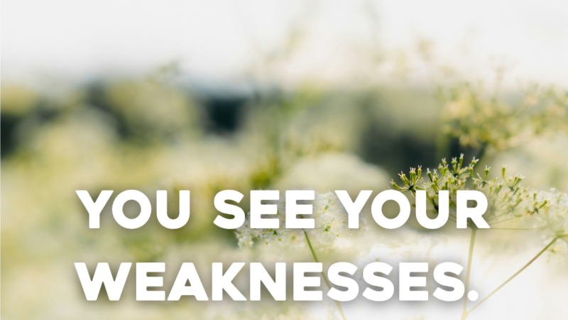 You See Your Weaknesses. God Sees A Warrior 