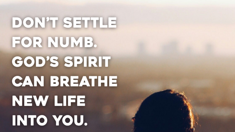 Don’t Settle For Numb. God’s Spirit Can Breathe New Life Into You.