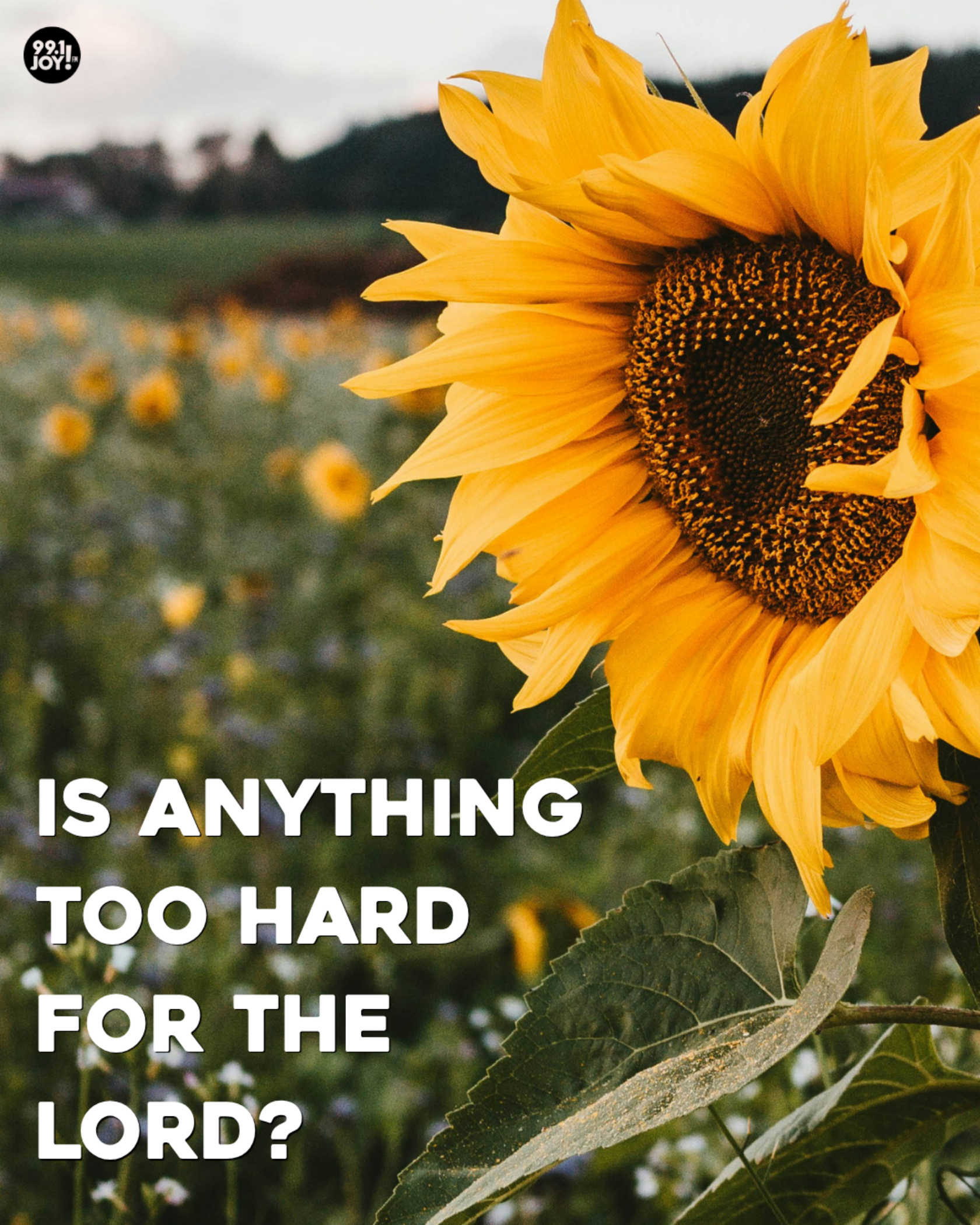 Is Anything Too Hard For The Lord?