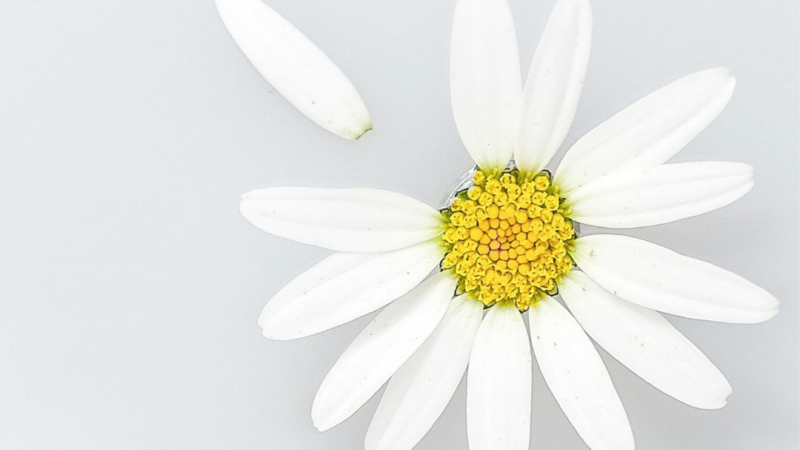 It Takes Intentionality To Foster Good Things