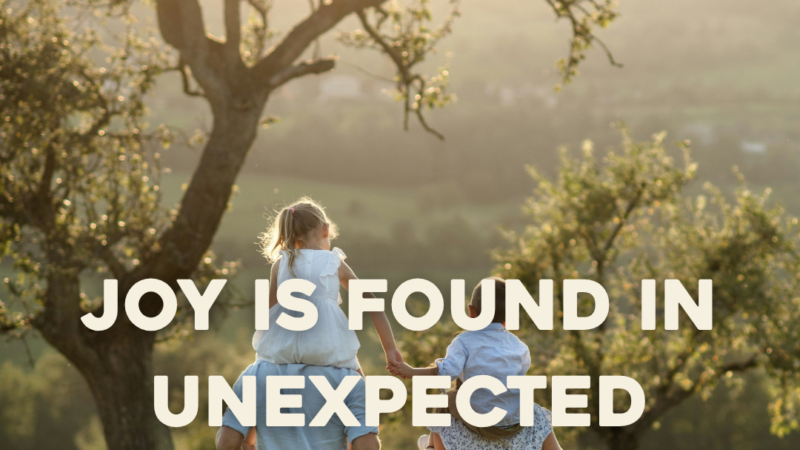 Joy Is Found In Unexpected Places
