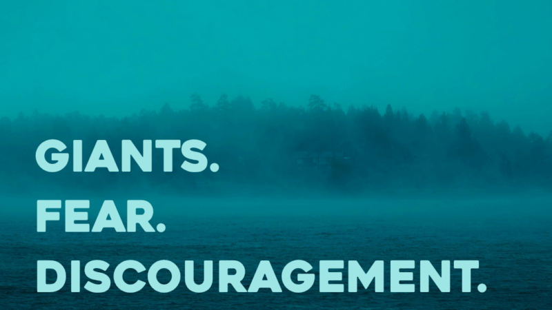 Giants. Fear. Discouragement. God Is In The Battle With You.