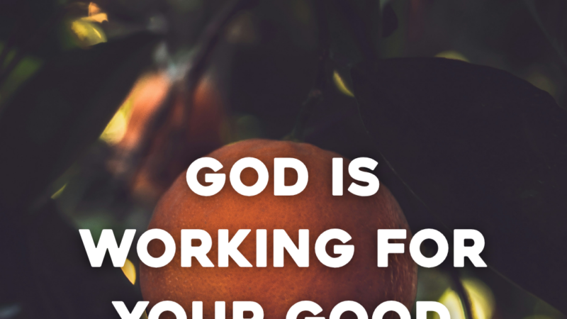 God Is Working For Your Good Today