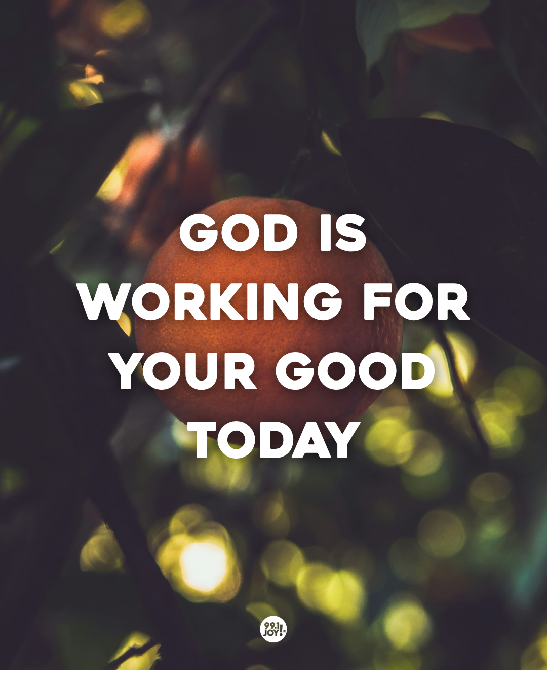 God Is Working For Your Good Today